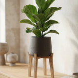 Patt Black Washed Feet High - Finestgreen || Abgebildete Größe: M