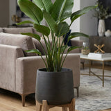 Patt Black Washed Feet Low