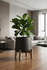 Patt Black Washed Feet Low