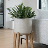 Patt Grey Washed Feet High Finestgreen 