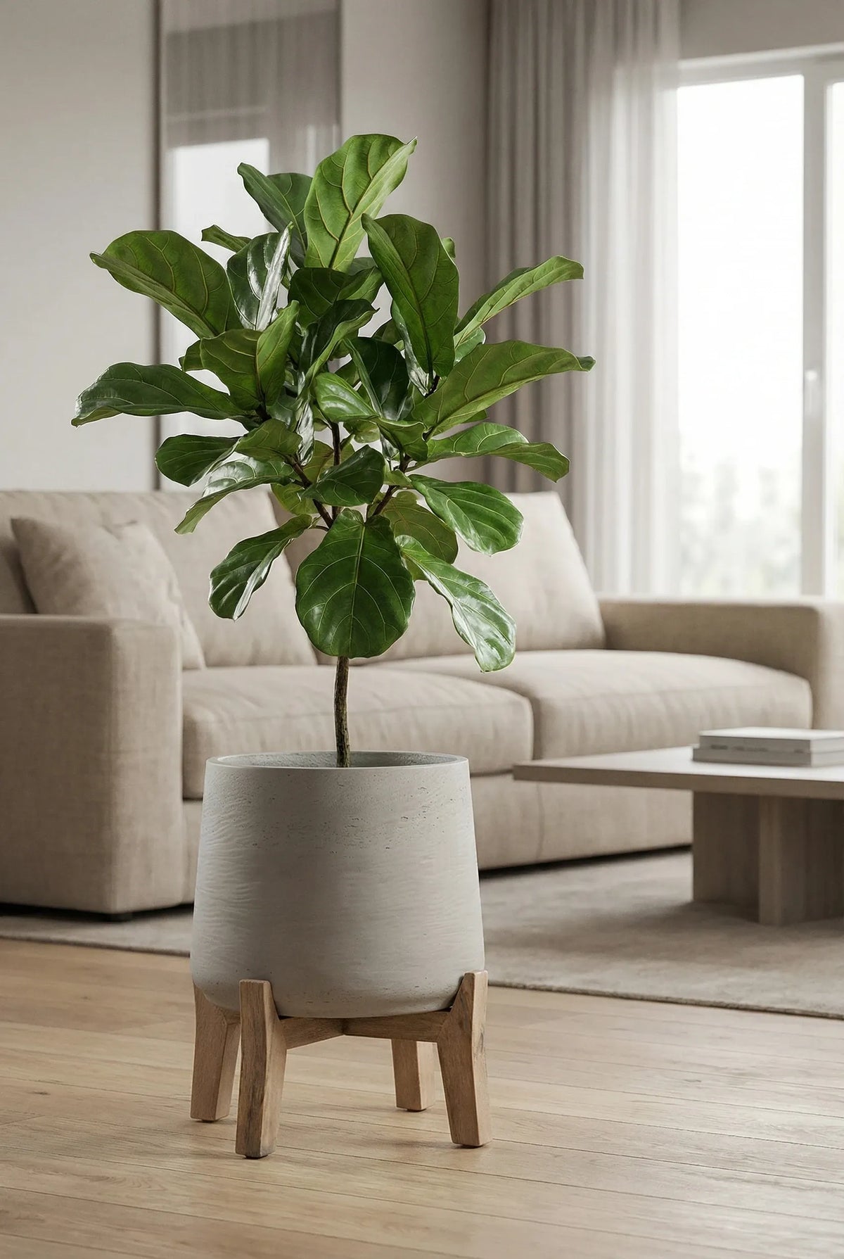 Pflanzen & Pflanzgefäße – Stilvoll begrünen mit Finestgreen®