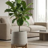 Patt Grey Washed Feet Low Finestgreen 