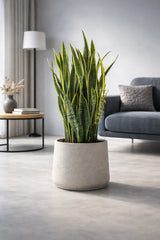 Patt Grey Washed Finestgreen 