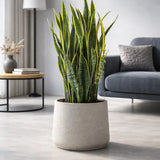 Patt Grey Washed Finestgreen 