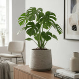 Patt Grey Washed Pflanzkübel Grau [v=m][v=l][v=xl]