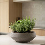 Madu Mocha Washed Finestgreen 