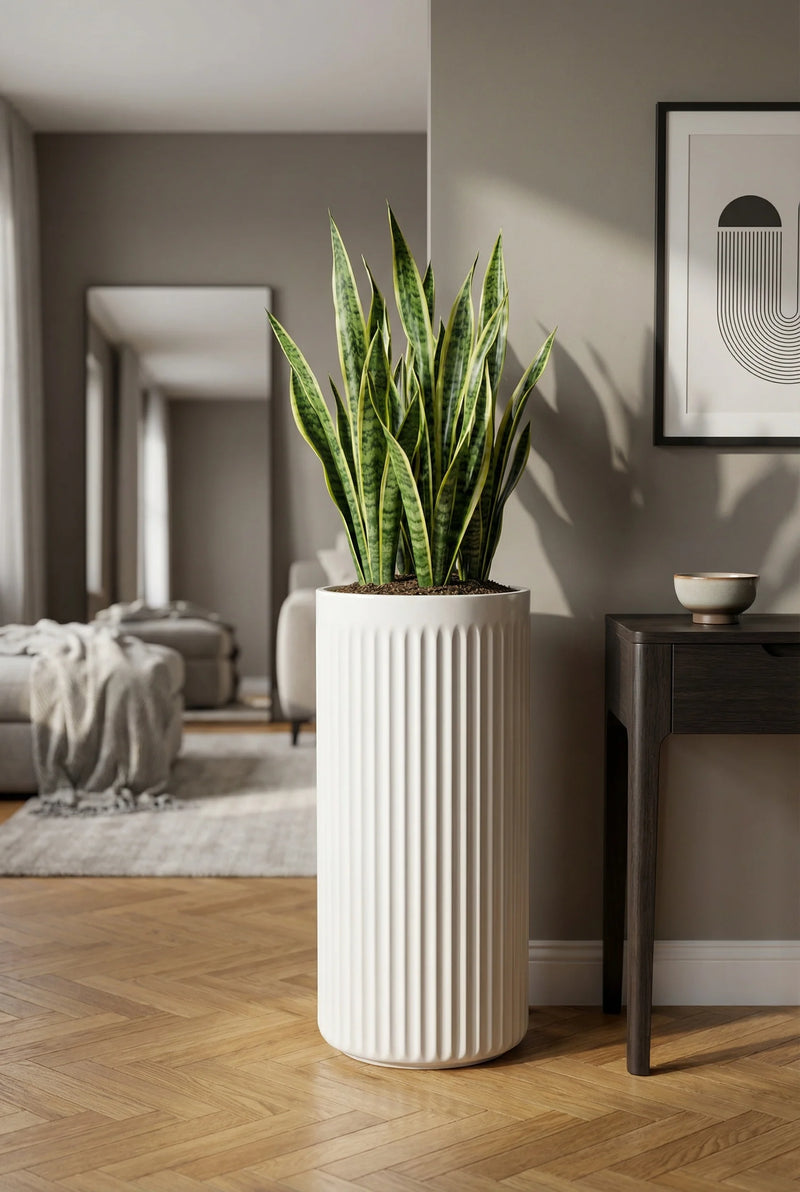 Hoher Blumentopf Turris Seidenweiß aus Fiberglas mit Bogenhanf im Wohnzimmer mit Fischgrätparkett
