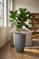 Ben Fiberstone Grau Finestgreen 