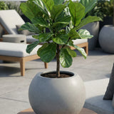 Beth Fiberstone Grau Finestgreen 