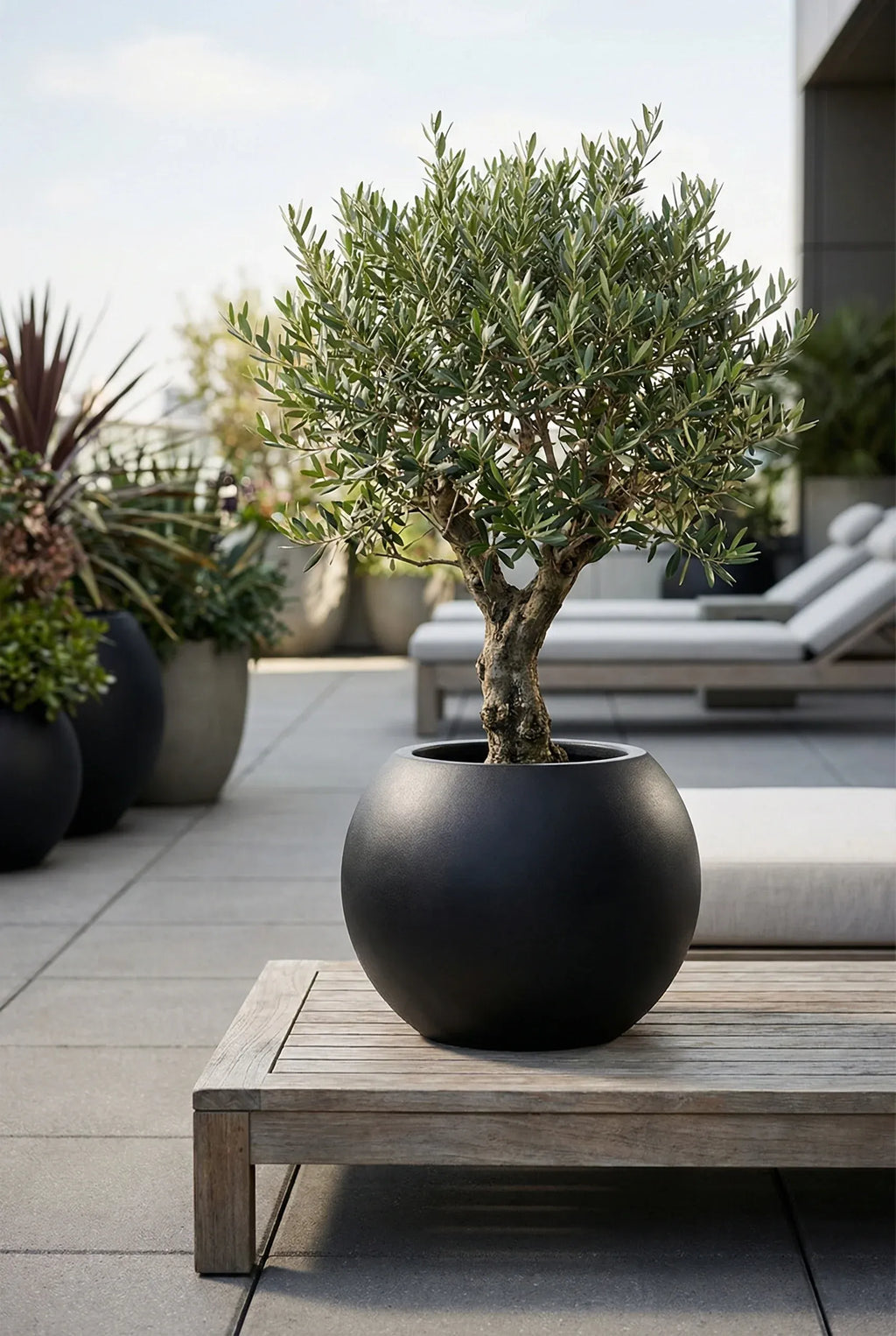 Kugelförmiger Pflanztopf aus Fiberstone – Beth Schwarz