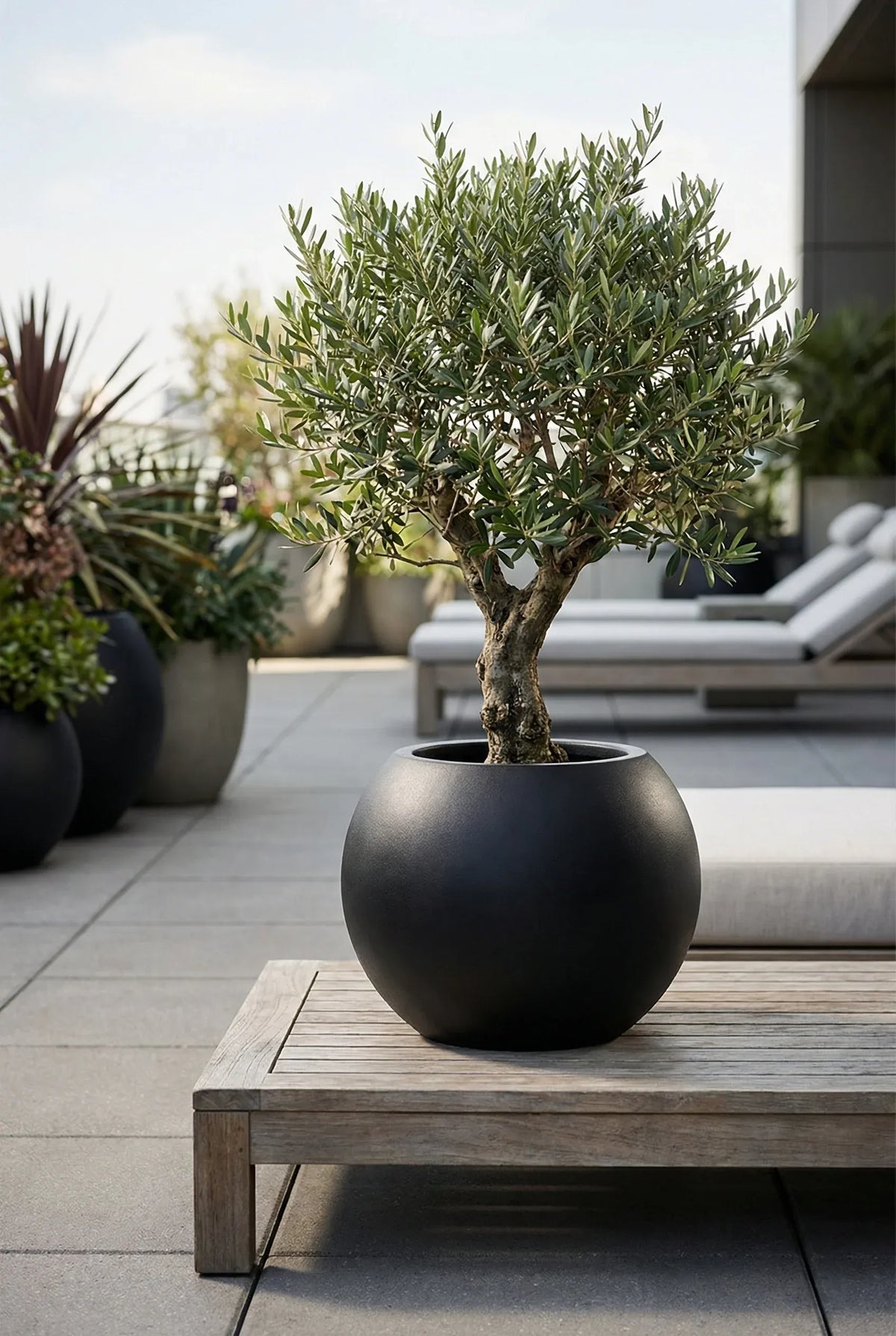 Kugelförmiger Pflanztopf aus Fiberstone – Beth Schwarz