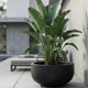 Fiberstone Schwarz