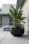 City Bowl Fiberstone Schwarz