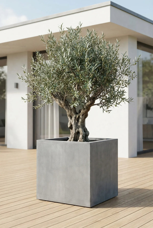 XXL Pflanzkübel aus Fiberstone – Jumbo Fiberstone Grau