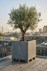 Jumbo Fiberstone Grau (mit Füßen) Finestgreen 