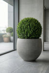 Jumbo Orb Fiberstone Grau