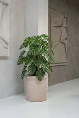 Max Classic Taupe Finestgreen 