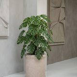 Max Classic Taupe Finestgreen 