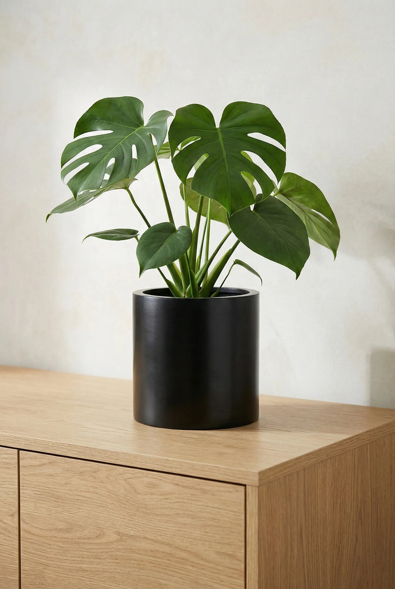 Übertopf Mini Max Schwarz aus Fiberstone mit Monstera auf einem hellen Holzsideboard vor heller Wand