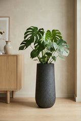 Nax Granite Midnight Black Finestgreen 