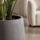Pflanzkuebel Patt Fiberstone Grau frostfest mit Strelitzia bepflanzt Nahaufnahme 