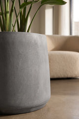 Pflanzkuebel Patt Fiberstone Grau frostfest mit Strelitzia bepflanzt Nahaufnahme boden