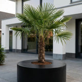 Seating Circle Schwarz