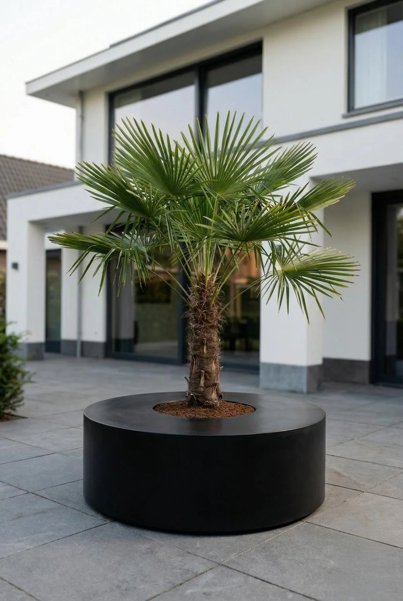 XXL Pflanzkübel mit Sitzfläche aus Fiberstone – Seating Rund Schwarz