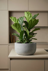 Sunny Fiberstone Grau