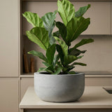 Sunny Fiberstone Grau