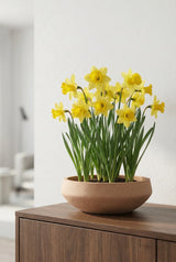 Madu Clay Washed Finestgreen 