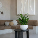 Peter Matt Weiß Finestgreen 