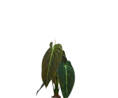 Konfigurator