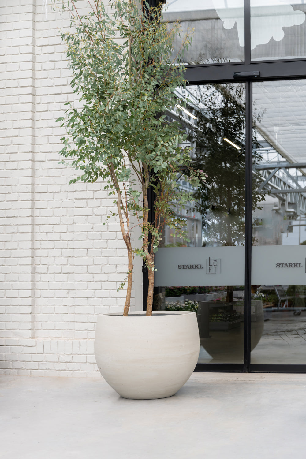 Jumbo Orb Grey Washed – XXL Pflanzkübel aus Ficonstone