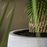 Jumbo Orb Ivory Washed - Finestgreen || Offenporige Oberfläche