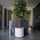 Ficus Baum Künstlich H: 180cm - Finestgreen