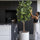 Ficus Baum Künstlich H: 180cm - Finestgreen
