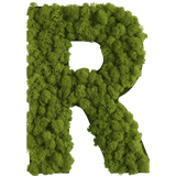 Islandmoos Piktogramm Buchstabe
