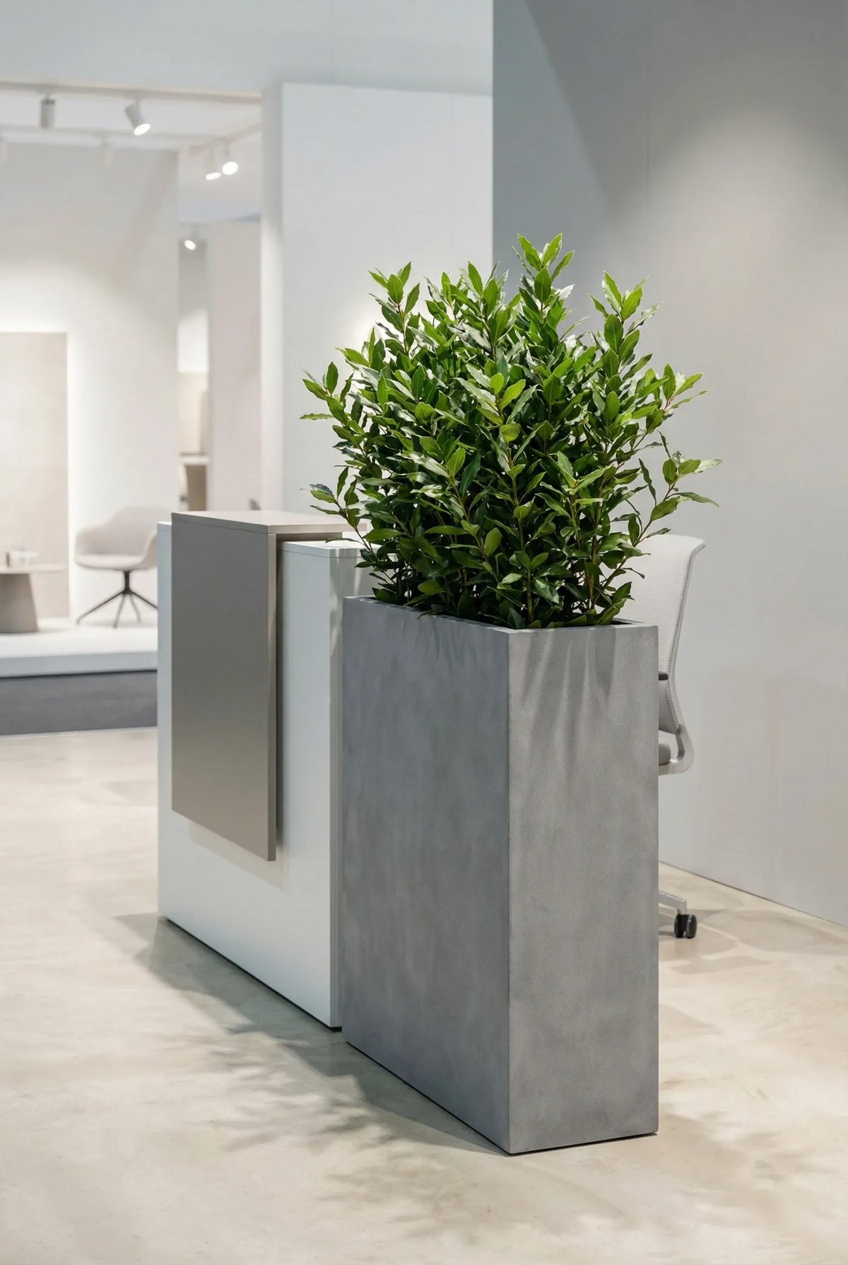 Pflanzkübel Raumtrenner aus Fiberstone in Grau – Jort