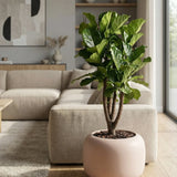 Sphere Low Elemental - Puderrosa Finestgreen 