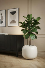 Sphere Low Elemental - Seidenweiß Finestgreen 