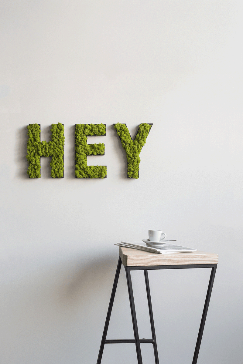 Islandmoos Piktogramm Buchstabe Finestgreen