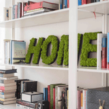 Islandmoos Piktogramm Buchstabe