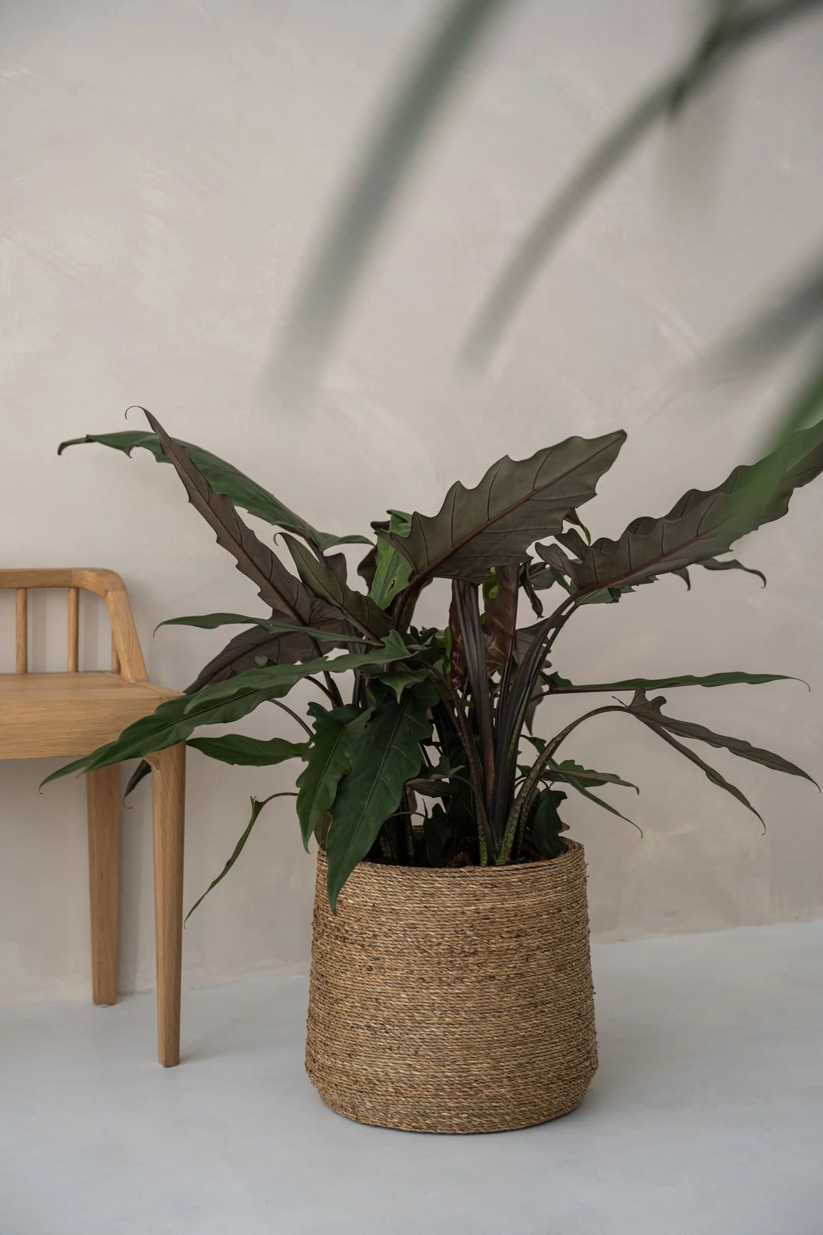 Patt Straw Grass Pflanztopf - Pflanzgefäß im Boho Style