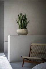 Pflanzschale Aya Beige aus Zement & Bambus Pflanzkorb mit künstlicher sansevieria bogenhanf modernes Wohnzimmer