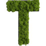 Islandmoos Piktogramm Buchstabe