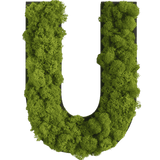Islandmoos Piktogramm Buchstabe