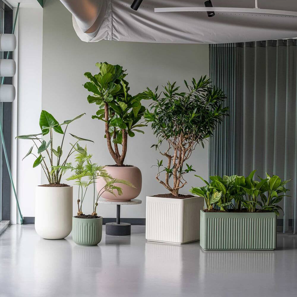Übersicht Pflanztöpfe Fiberglas Ionic & Elemental