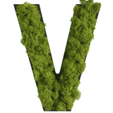 Islandmoos Piktogramm Buchstabe