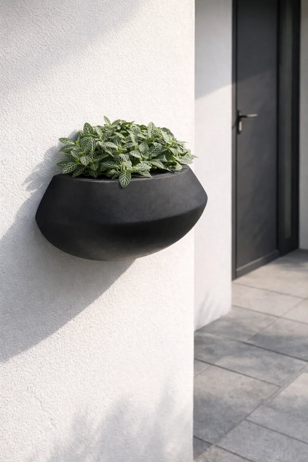Wandpflanzschale Wally Tara Schwarz aus Fiberstone